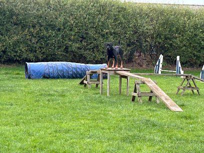 Burton-Meadow; Dog Freedom Field; Training and Enrichment Facility. — secure dog field in Stoke-on-Trent