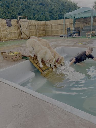 Wag and Splash — secure dog field in Stratford-upon-Avon