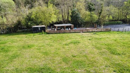 Motsi's Meadow — secure dog field in Swansea