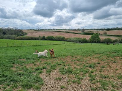 Braunston Secure Dog Walking Field — secure dog field in Daventry