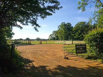 Shotesham Paw Park — secure dog field in Norwich