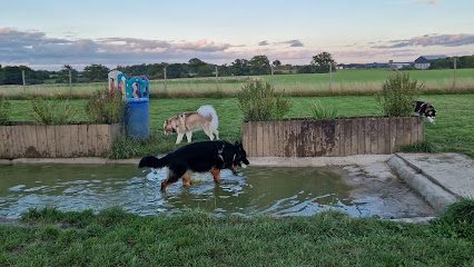 Pet cuddles Happy Hounds ltd — secure dog field in Reading