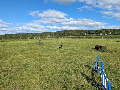 Nailsea & Backwell Secure Dog Field — secure dog field in Bristol
