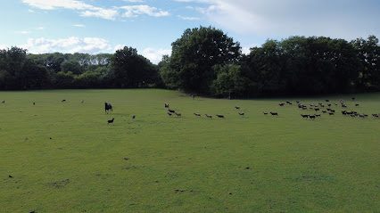 Ted's Fields — secure dog field in Tonbridge