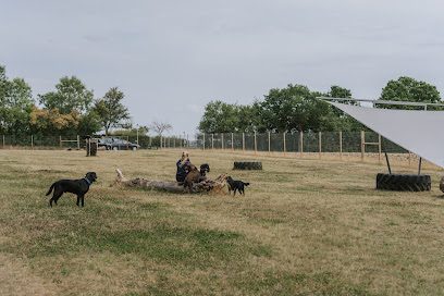 Bunsty Dog Field — secure dog field in Milton Keynes