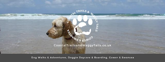 Coastal Trails and Waggy Tails — secure dog field in Dunvant