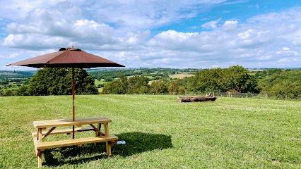 Wern Isaf Secure Dog Walking Field — secure dog field in Treharris