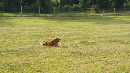 Grow Walkies - Tewin — secure dog field in Welwyn