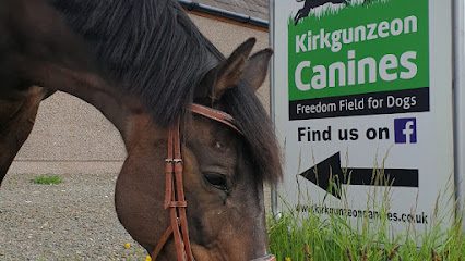 Kirkgunzeon Canines — secure dog field in Kirkgunzeon