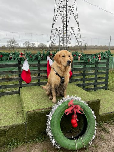 The Potterings — secure dog field in Aylesbury
