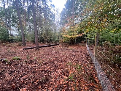 Brownhill Dogwood — secure dog field in Newbury