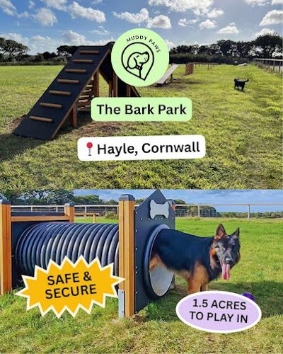 BARK PARK — secure dog field in Hayle