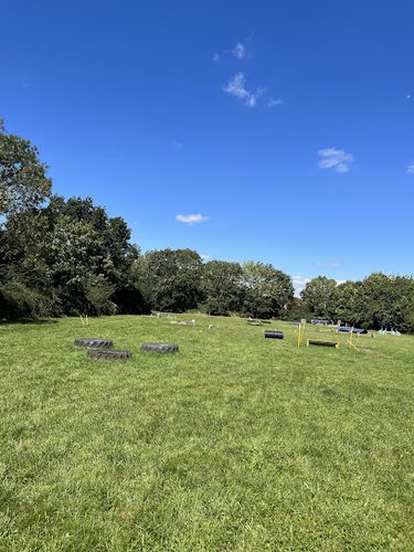 Four Paws Adventure Academy — secure dog field in Bedford