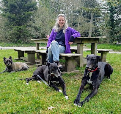 Help My Dog......and help me too! — secure dog field in Haverfordwest