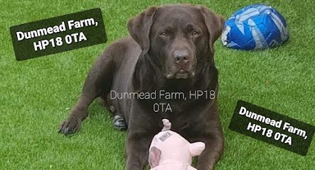 Down At The Farm — secure dog field in Aylesbury