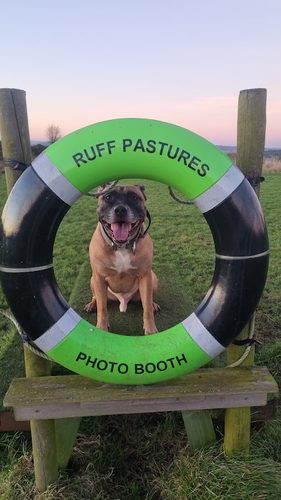 Ruff Pastures — secure dog field