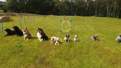 Argyll Active Paws Ltd — secure dog field in Dunoon