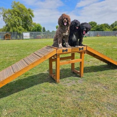 Happy Paws Dog Field — secure dog field in Sheerness