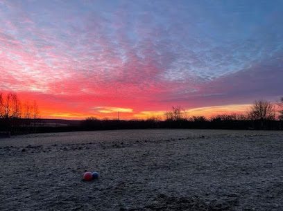 Secure Field @ Coxmoor — secure dog field in Nottingham