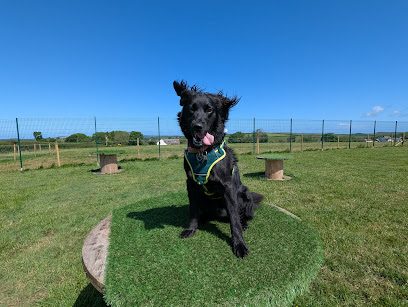 Llanstinan Kennels; Letterston; Pembrokeshire SA62 5XD — secure dog field in Haverfordwest