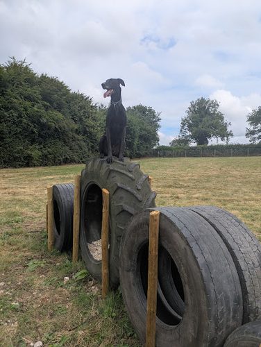 Brackenfarg Dog Park — secure dog field in Ripon