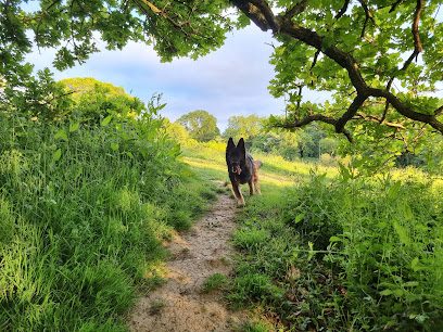 Ronnie's Field — secure dog field in Cheltenham