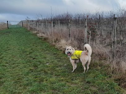 4Paws Secure Dog Field — secure dog field in Sheffield