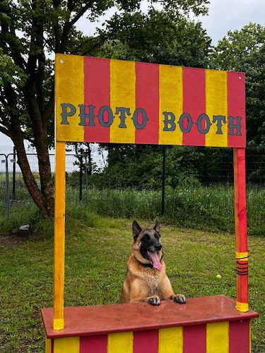 Bark ‘N’ Go - Dog Exercise Park — secure dog field in Glenrothes