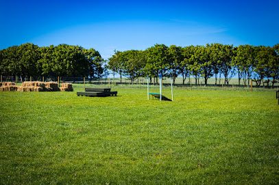 Scentral Bark — secure dog field in Ellon