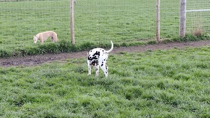 Seghill Park — secure dog field in Cramlington