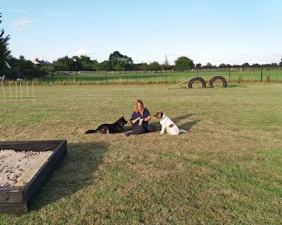 Paddys Pawfect Paddock — secure dog field in Swindon