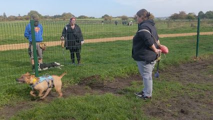 Upton Country Park; Dog Training Area — secure dog field in Poole
