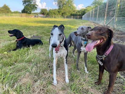 Central Bark Dog Field — secure dog field in York