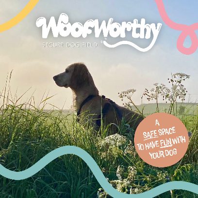 Woofworthy Secure Dog Field — secure dog field in Holsworthy