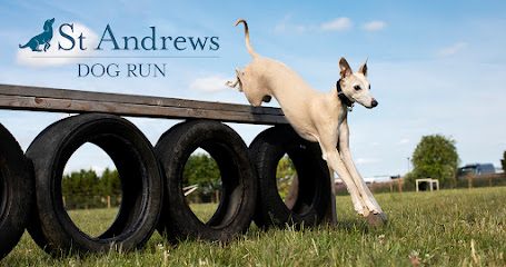 St Andrews Dog Run — secure dog field in Brownhills