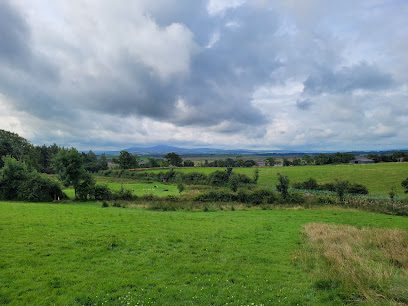 Archie's Dog Acres — secure dog field in Lanark