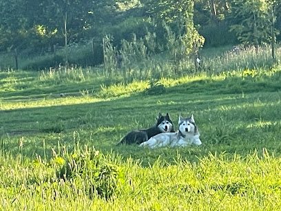 Frank's Freedom Field — secure dog field in Newark