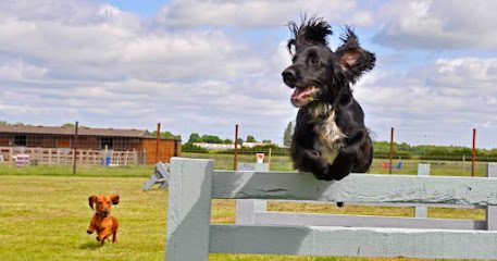 York Dog Park — secure dog field in York