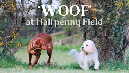 Halfpenny Field — secure dog field in Chippenham