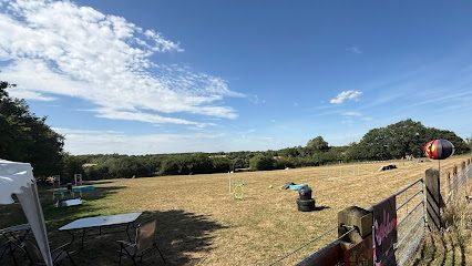Go Wild Dog Adventures — secure dog field in Stowmarket