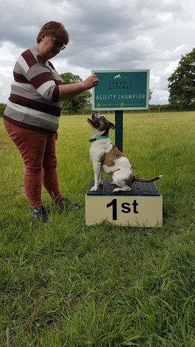 Vinny's Getaway — secure dog field in Melksham