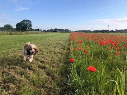 Pooch's Paddock — secure dog field in Doncaster