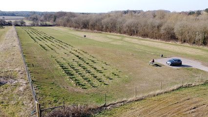 Hettie's Dog Parks — secure dog field in Newbury