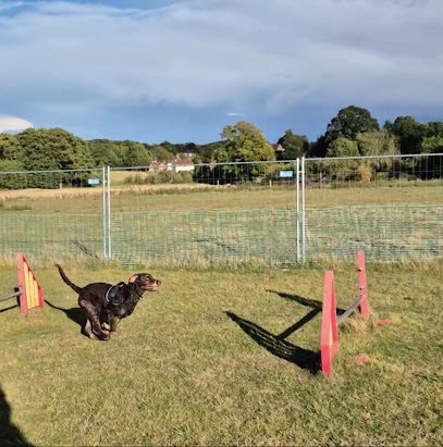 Donkey Dell Dog Exercise Fields — secure dog field in Norwich