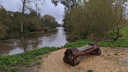 Canford Park SANG (Suitable Alternative Natural Greenspace) — secure dog field in Wimborne