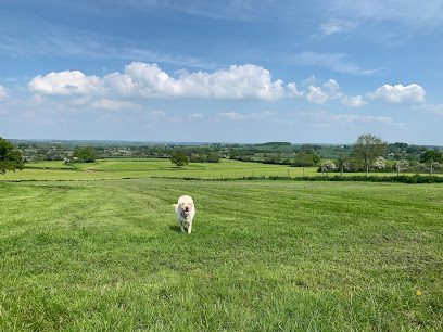Holme Meadow Sugnall — secure dog field in Stafford