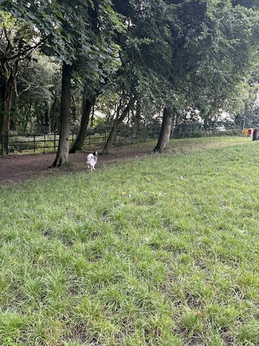 Pawprints Secure Dog Paddock — secure dog field in Bury