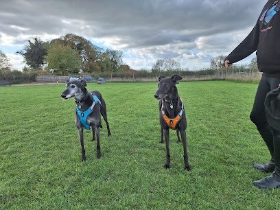 Vale K9 — secure dog field in Northampton
