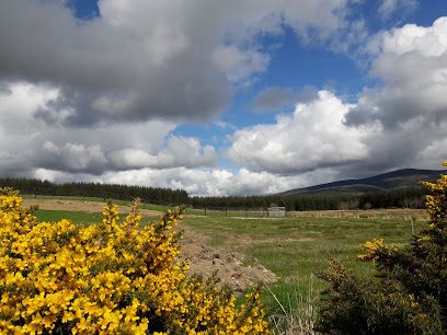 Rabbit Rock Field — secure dog field in Aberlour