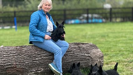 Top Dog secure dog field — secure dog field in Stone